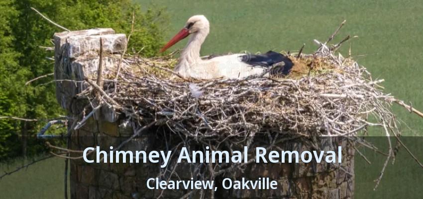 Chimney Animal Removal Clearview, Oakville - ON
