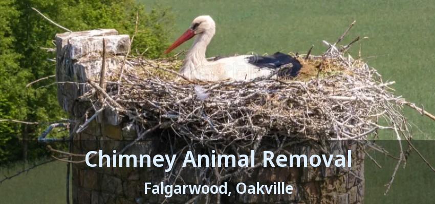 Chimney Animal Removal Falgarwood, Oakville - ON