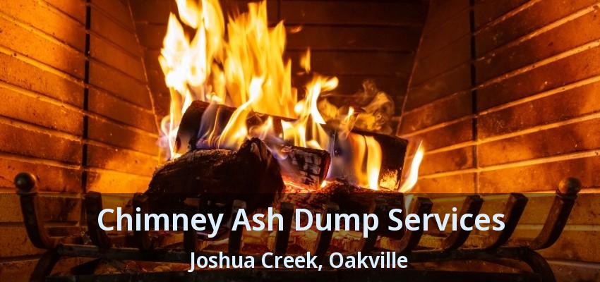 Chimney Ash Dump Services Joshua Creek, Oakville - ON