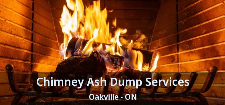 Chimney Ash Dump Services Oakville - ON
