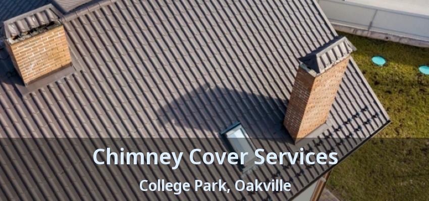 Chimney Cover Services College Park, Oakville - ON