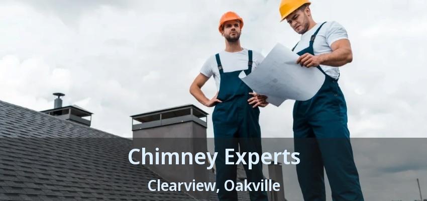 Chimney Experts Clearview, Oakville - ON