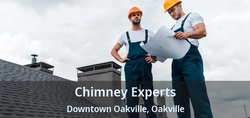Chimney Experts Downtown Oakville, Oakville - ON