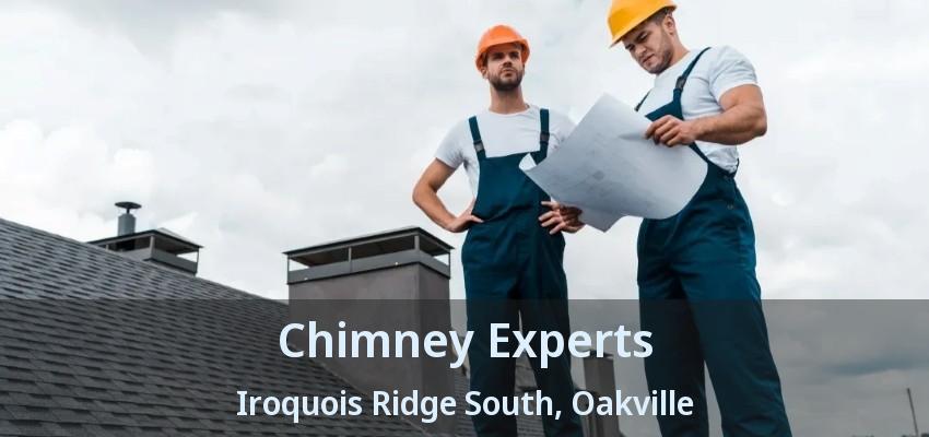 Chimney Experts Iroquois Ridge South, Oakville - ON