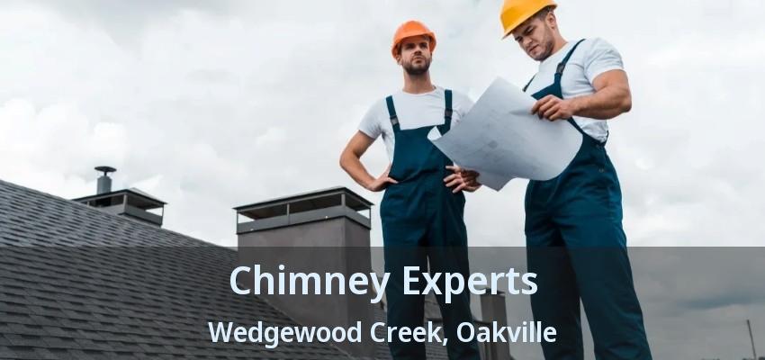 Chimney Experts Wedgewood Creek, Oakville - ON