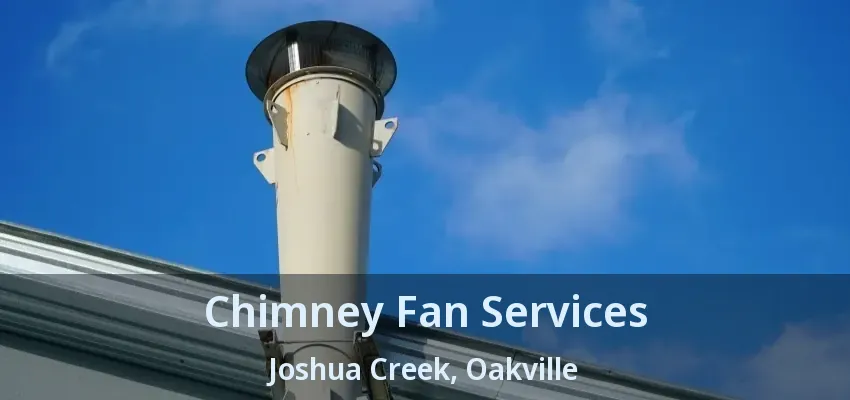 Chimney Fan Services Joshua Creek, Oakville - ON