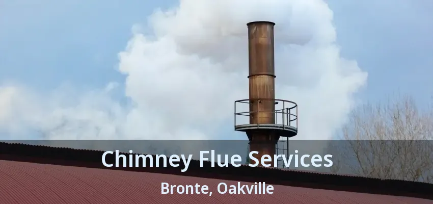 Chimney Flue Services Bronte, Oakville - ON