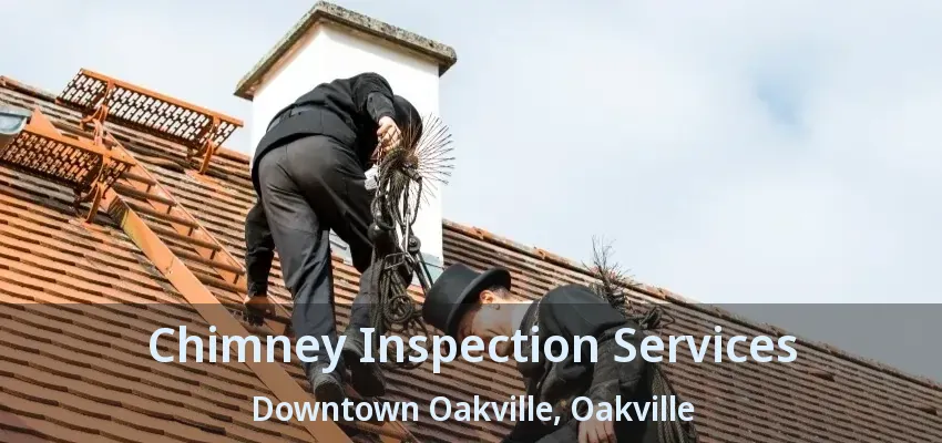 Chimney Inspection Services Downtown Oakville, Oakville - ON