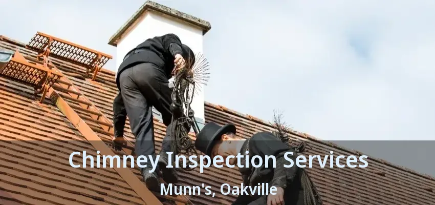 Chimney Inspection Services Munn's, Oakville - ON