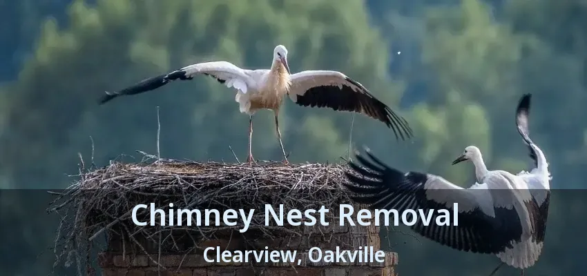 Chimney Nest Removal Clearview, Oakville - ON