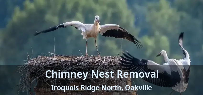 Chimney Nest Removal Iroquois Ridge North, Oakville - ON
