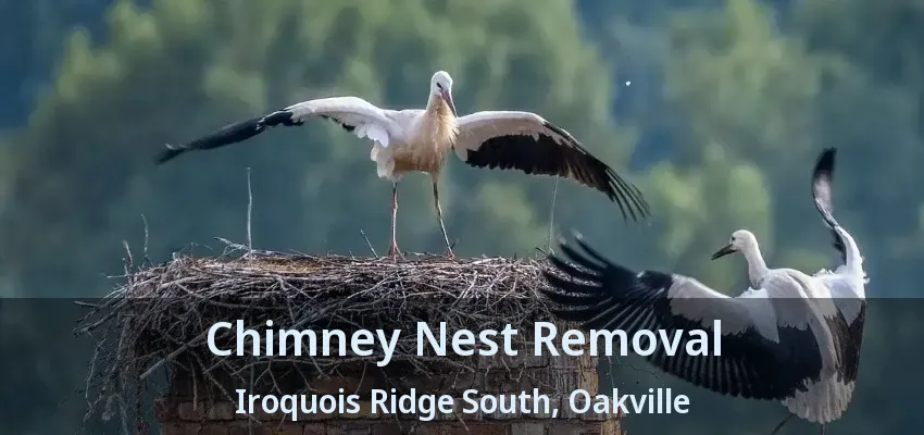 Chimney Nest Removal Iroquois Ridge South, Oakville - ON