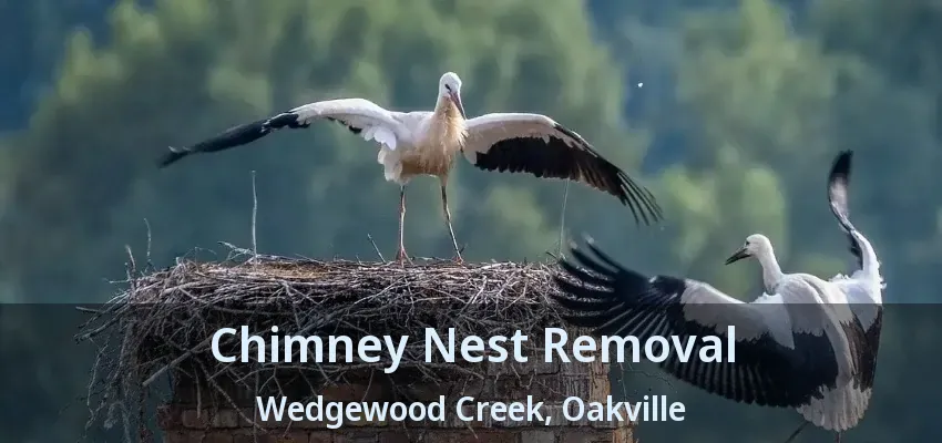 Chimney Nest Removal Wedgewood Creek, Oakville - ON