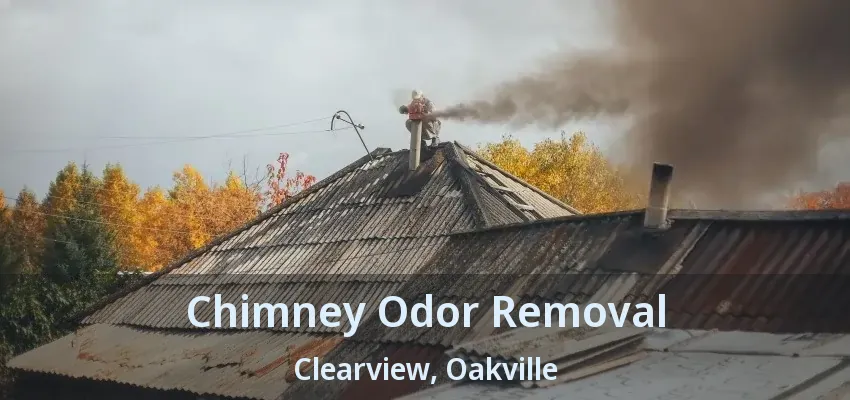 Chimney Odor Removal Clearview, Oakville - ON
