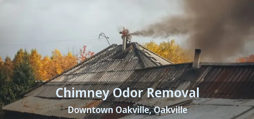 Chimney Odor Removal Downtown Oakville, Oakville - ON