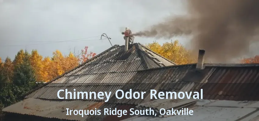 Chimney Odor Removal Iroquois Ridge South, Oakville - ON