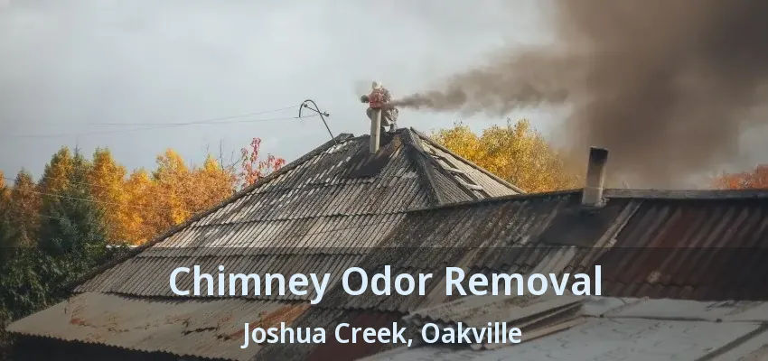 Chimney Odor Removal Joshua Creek, Oakville - ON
