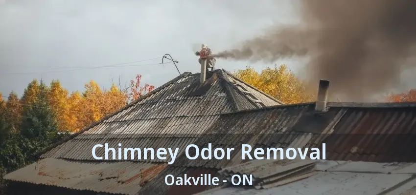 Chimney Odor Removal Oakville - ON