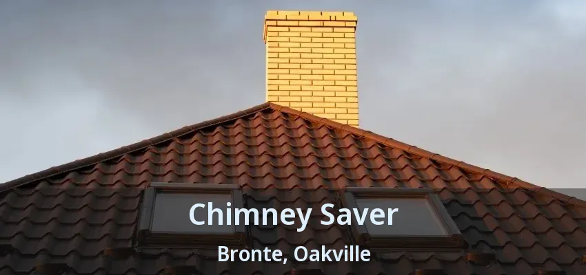 Chimney Saver Bronte, Oakville - ON