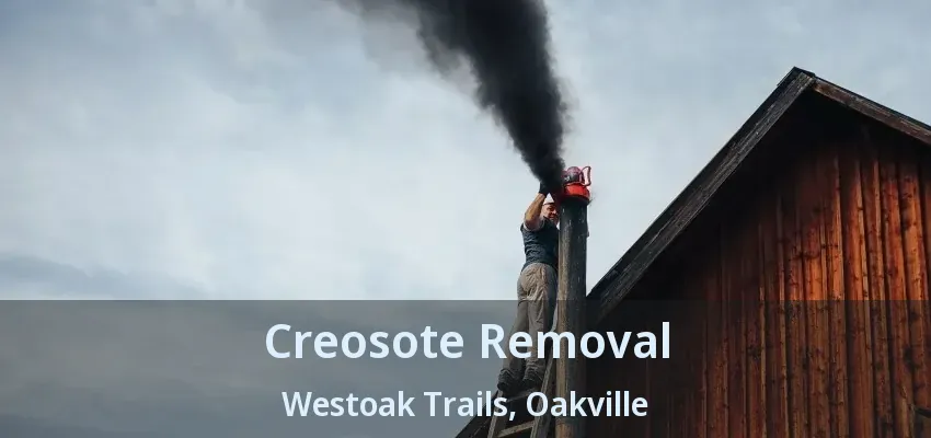 Creosote Removal Westoak Trails, Oakville - ON