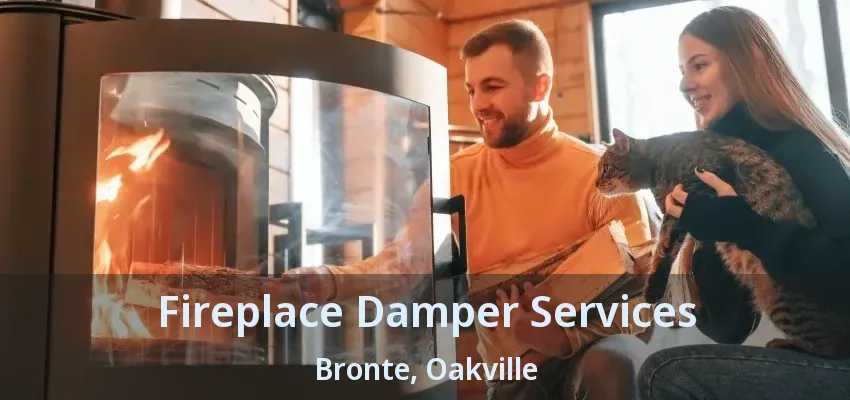 Fireplace Damper Services Bronte, Oakville - ON