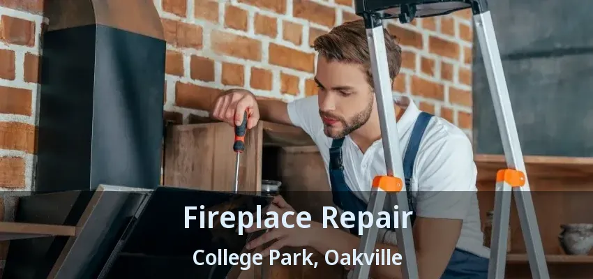 Fireplace Repair College Park, Oakville - ON