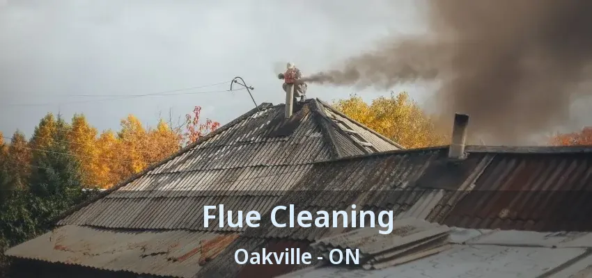 Flue Cleaning Oakville - ON