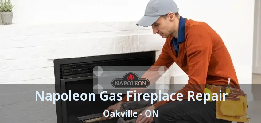 Napoleon Gas Fireplace Repair Oakville - ON