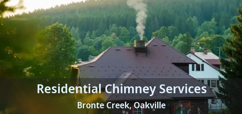 Residential Chimney Services Bronte Creek, Oakville - ON