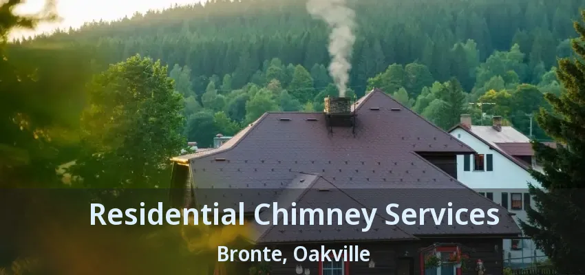 Residential Chimney Services Bronte, Oakville - ON