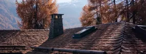 Chimney Animal Removal Clearview, Oakville