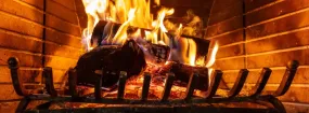 Fireplace Damper Services Iroquois Ridge South, Oakville